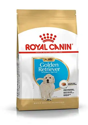 Royal Canin Golden Retriever Junior 3 Kg.