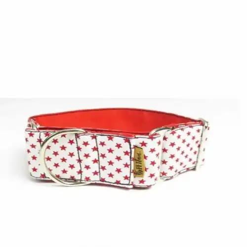 Collar para perros Martingale antitirones y antiescape - Thepetlover - Comparador de precios