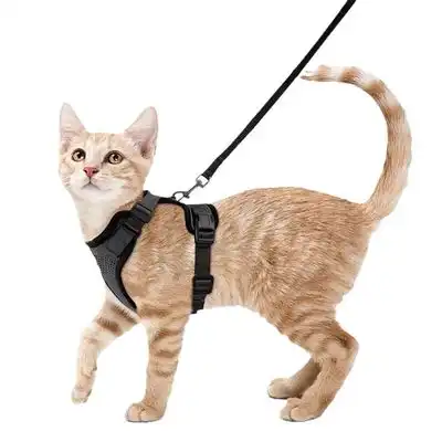 ZooVenture Arnés y correa para gatos - Talla XS, ajustable, reflectante - Negro - XS - Zooventure - Comparador de precios
