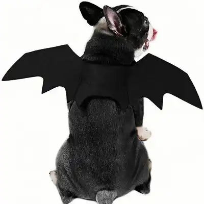 ZooVenture Disfraz de murciélago para perros grandes - S - Zooventure - Comparador de precios