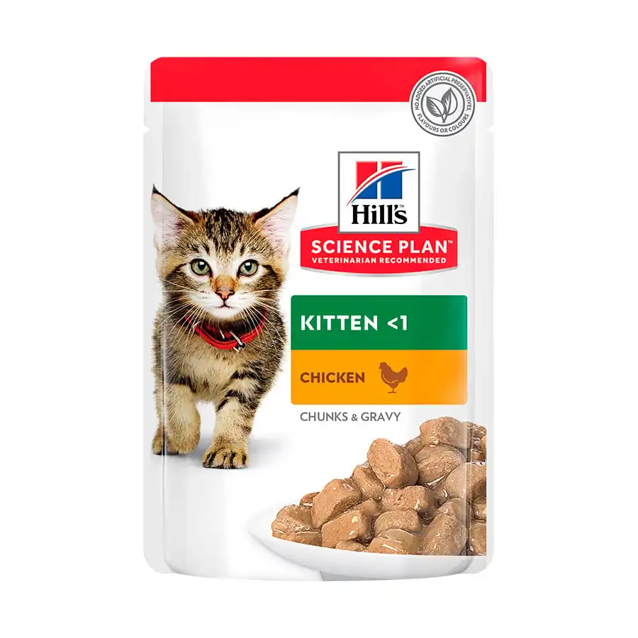 Comida húmeda para gatos Kitten Hills Science Plan Healthy Development pollo 85 gr