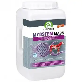 Audevard Myostem Mass 6 KG