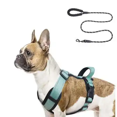 Qinhul Arnés y correa para perros - Verde - Qinhul - Comparador de precios