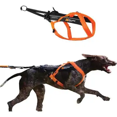 HausPets Arnés Non-stop Freemotion 5.0, tracción bicicleta carreras, 7 - Naranja/negro - HausPets - Comparador de precios