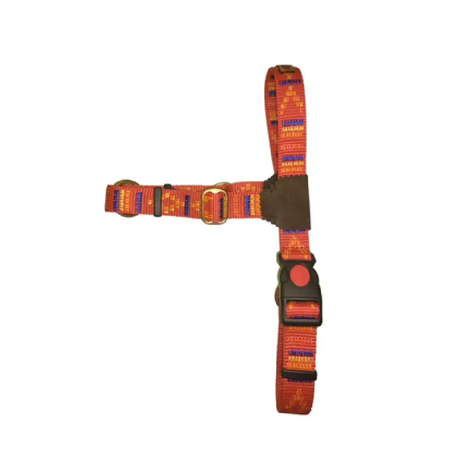 ARNES INDIAN ROJO - SET4DOGS - Comparador de precios
