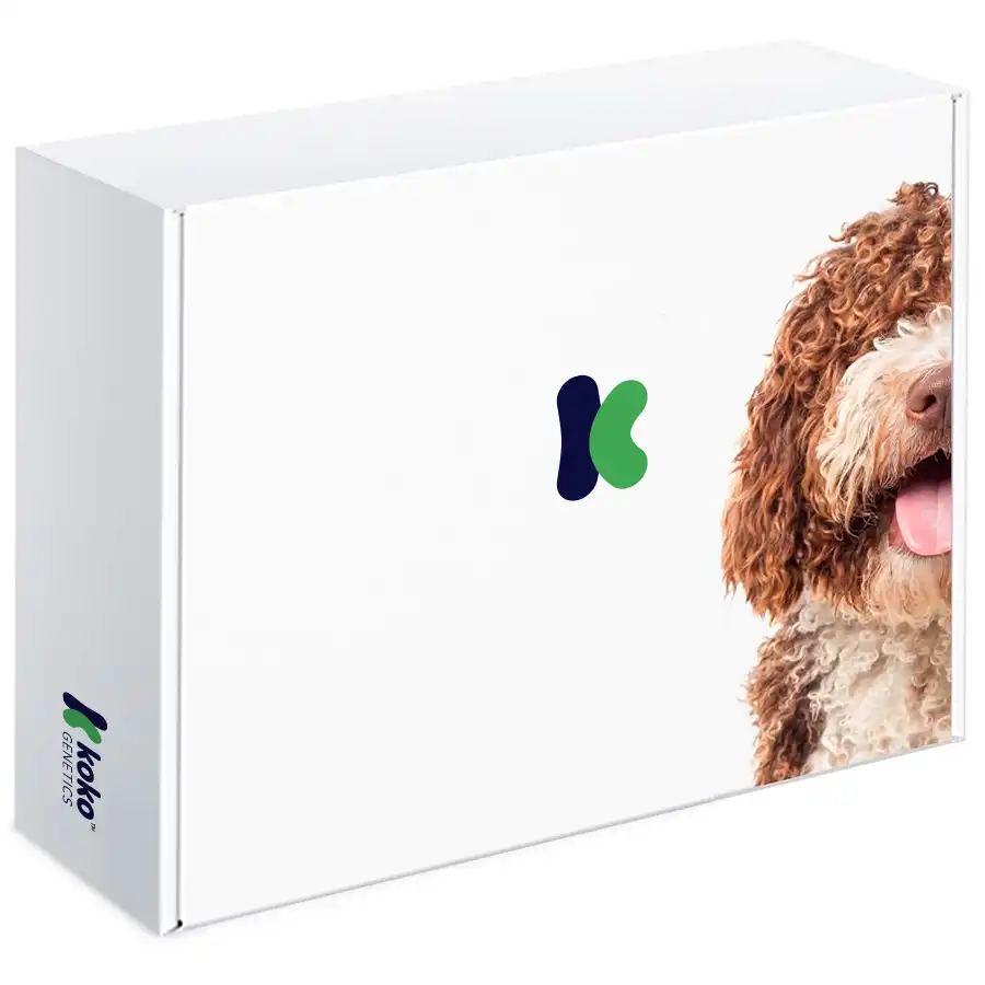 Prueba De ADN Para Perros Starter - Koko Genetics - Comparador de precios