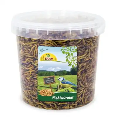 Gusanos de harina JR Farm con extra abundante proteína - 400 g - JR Farm - Comparador de precios