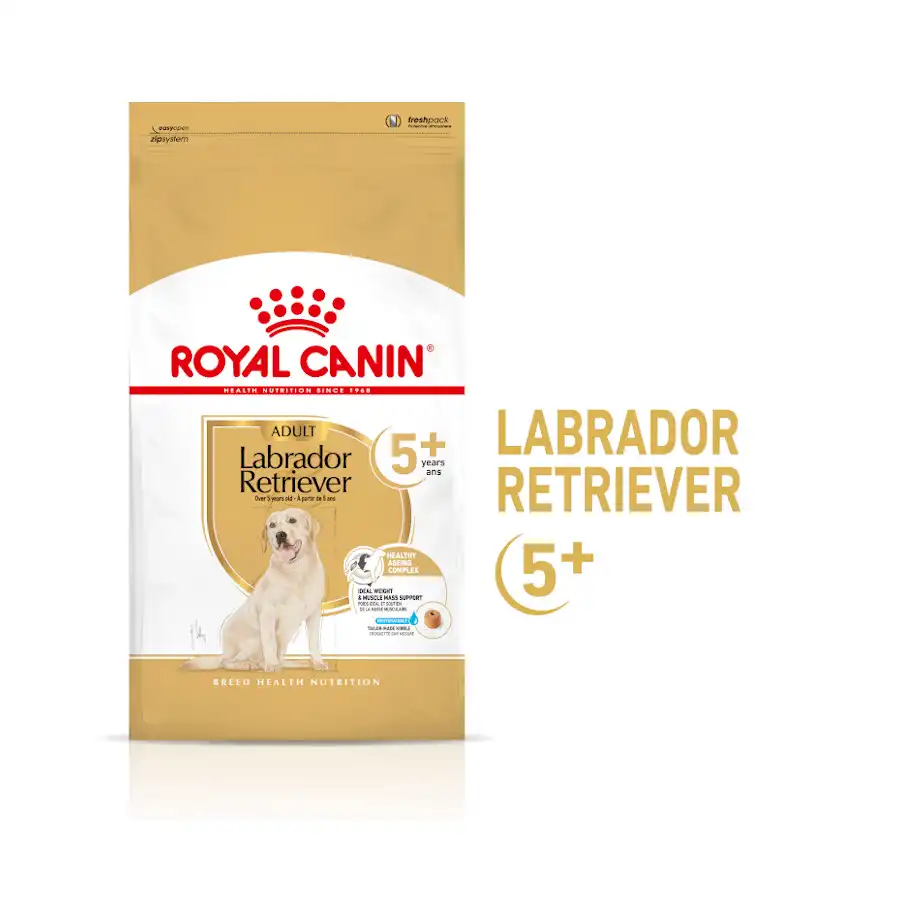 Royal Canin Adult +5 Labrador pienso para perros