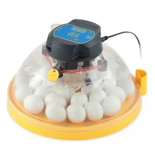 Brinsea maxi II eco incubadora analógica con volteo manual para pollitos - Brinsea - Comparador de precios