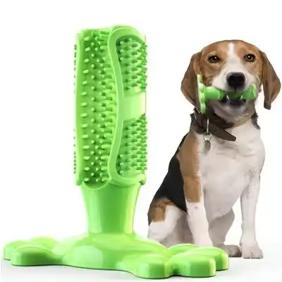 MCBOSON Cepillo de dientes para perros, juguete masticable de 15,5 cm - 15,5 cm - Mcboson - Comparador de precios