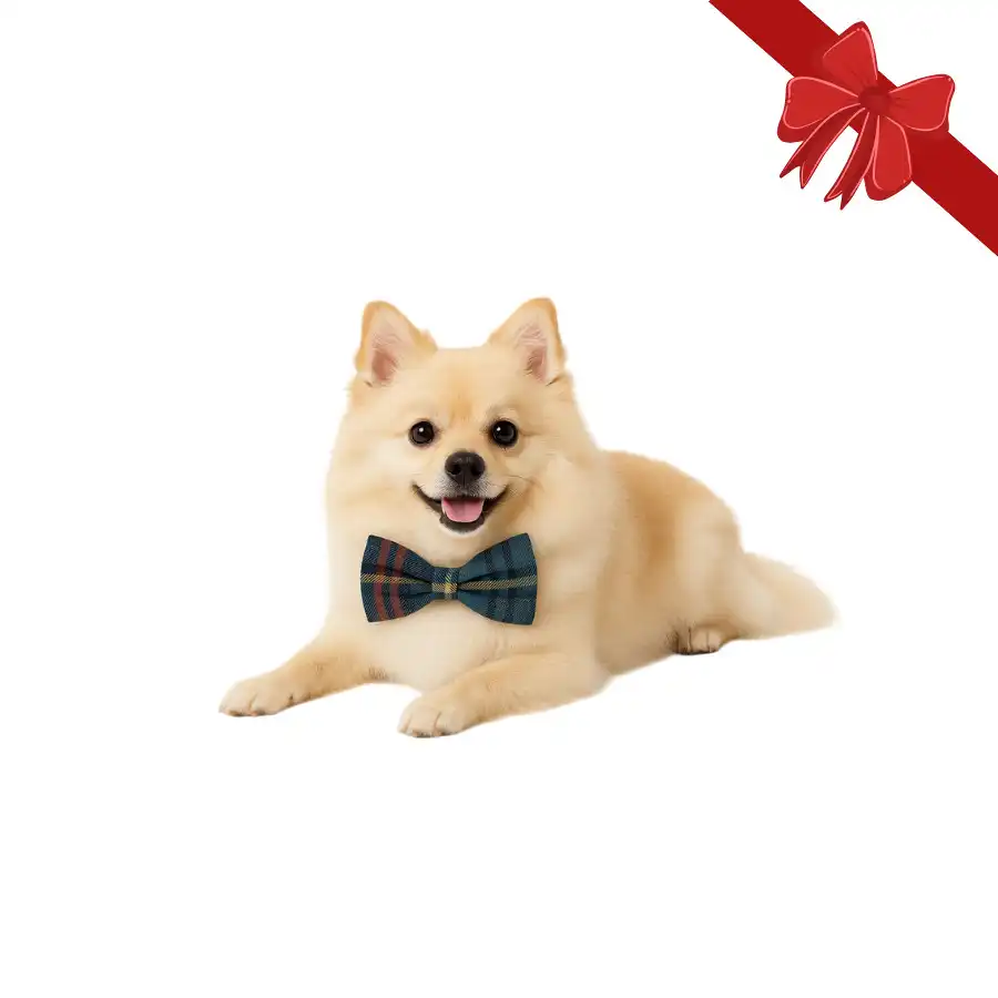 Wonder Christmas Pajarita Navideña Azul para perros - Wonder Christmas - Comparador de precios