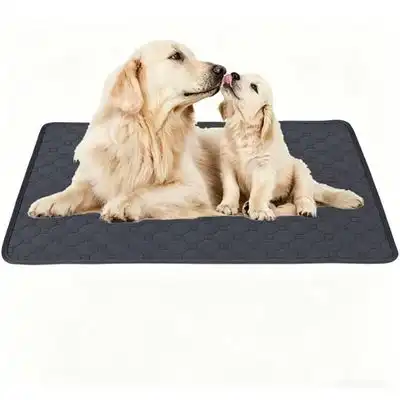 ZooVenture Alfombrilla ultra absorbente de 4 capas - Gris 45*60cm (M) - Zooventure - Comparador de precios
