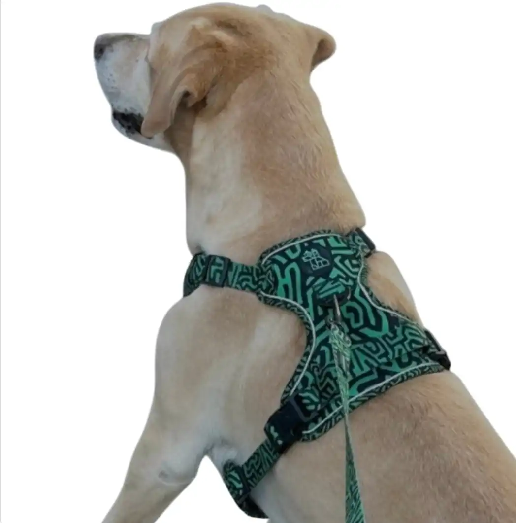 ARNÉS STRONG FRENCHTOUTOU VERDE - XL - Frenchtoutou - Comparador de precios