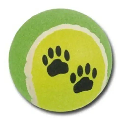 Nayeco Pelota de Tenis Grande para perros - Nayeco - Comparador de precios