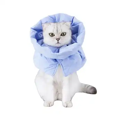 FurryFusion Collar antilamido para gatos - Azul claro S - Furry Fusion - Comparador de precios