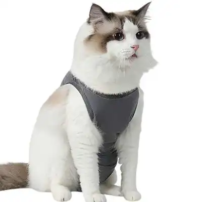 FurryFusion Traje de recuperación para esterilización de gatos - Artículo 1 - Furry Fusion - Comparador de precios