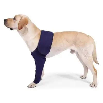 IntiMeg Cinturón de soporte para la pata delantera del perro - SG - IntiMeg - Comparador de precios