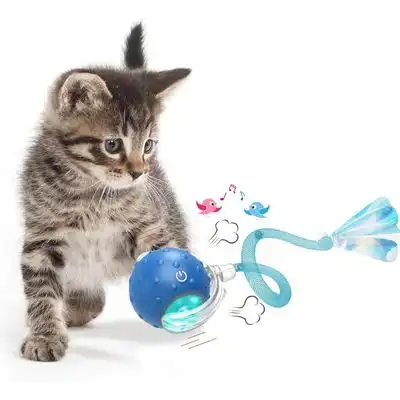 IntiMeg Pelota de juguete interactiva para gatos de interior - Una pieza - IntiMeg - Comparador de precios