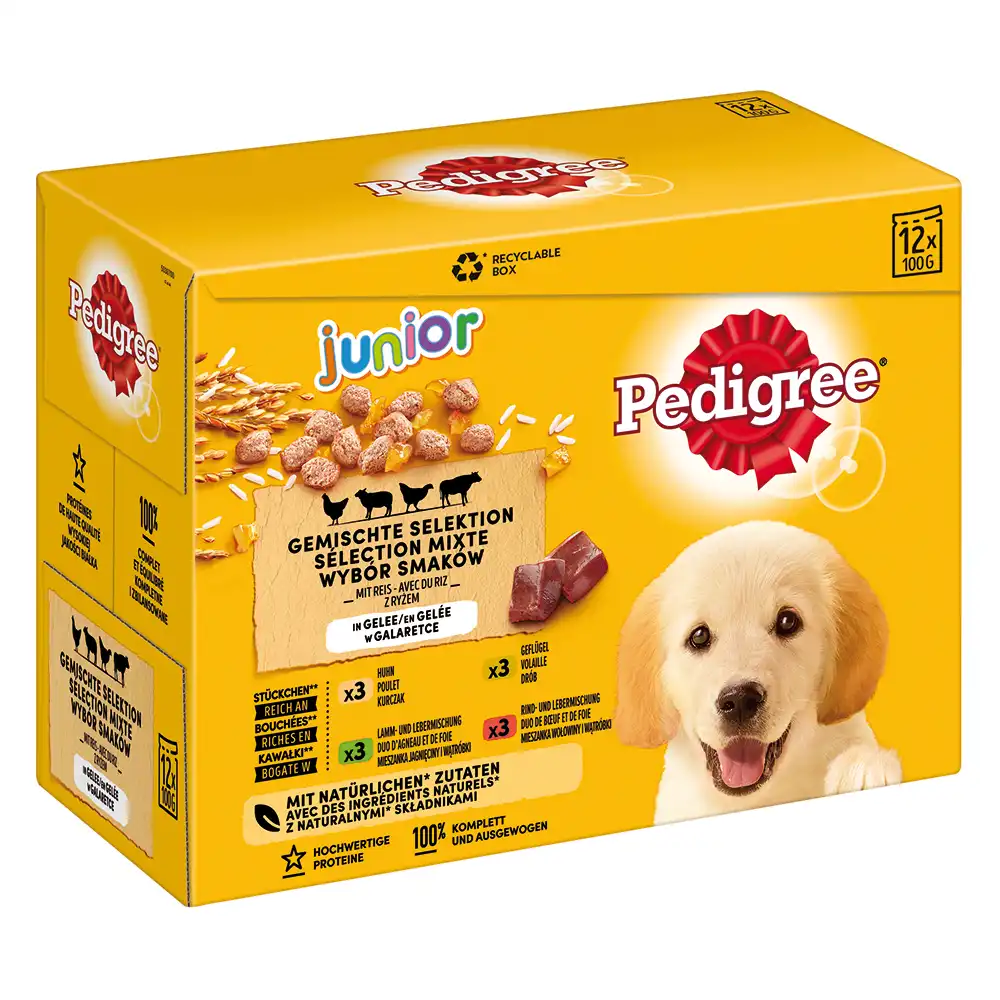 Multipack Pedigree Junior bolsitas - 12 x 100 g