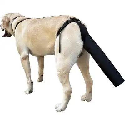 UAMLY protector de cola de perro - M 46*30cm - Uamly - Comparador de precios