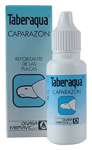 Taberaqua caparazón tortugas