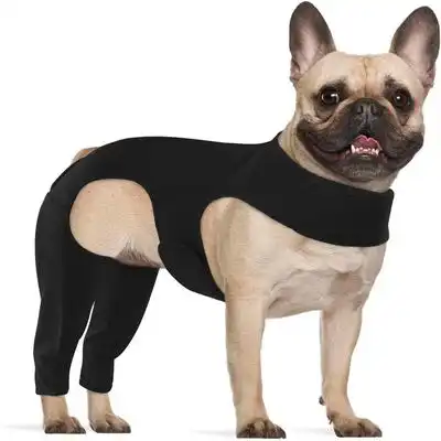 IntiMeg cinturón de sujeción para patas de perro - S - IntiMeg - Comparador de precios