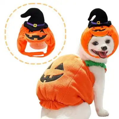 IntiMeg Sombrero de calabaza para perros - Sombrero - IntiMeg - Comparador de precios