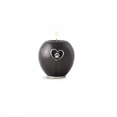 Urna Cristal Esfera Corazón color Gris - Ánima - Comparador de precios
