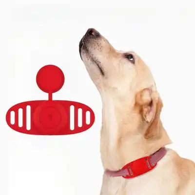 IntiMeg pañales para perros - M (35-43 cm) - IntiMeg - Comparador de precios