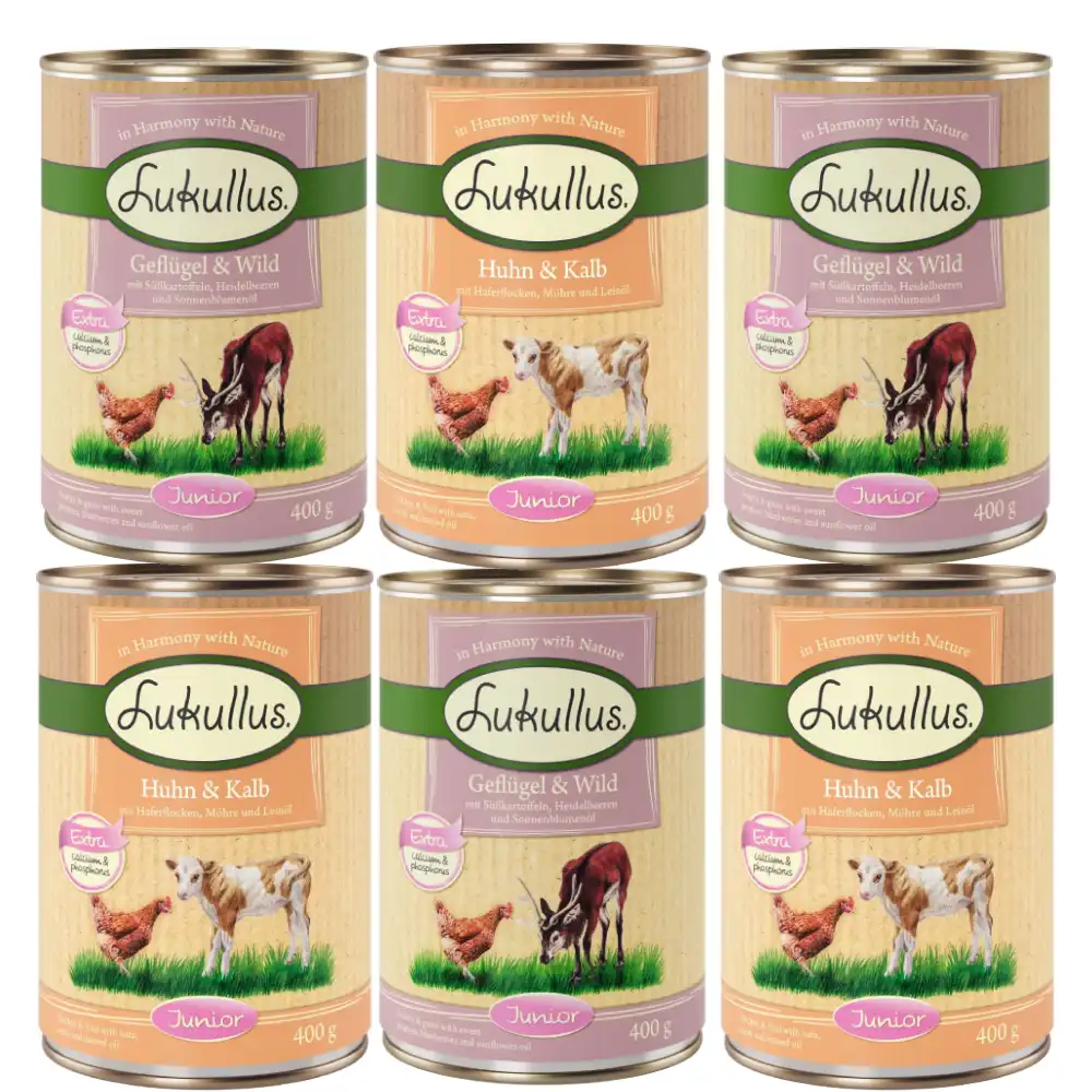 Lukullus Junior 24 x 400 g - Pack Ahorro - Pack mixto 1 (3 variedades) - Lukullus - Comparador de precios