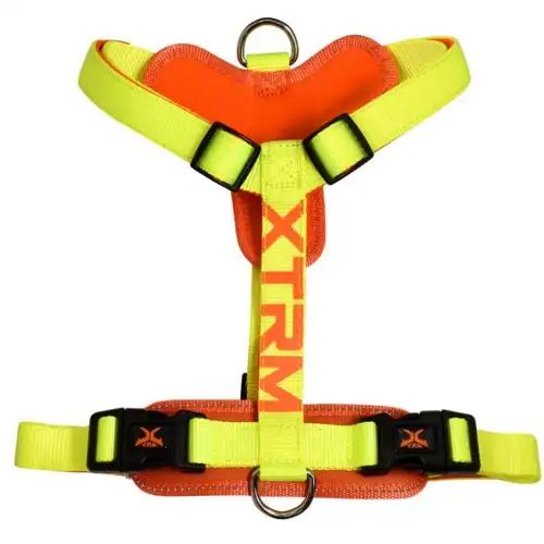 X-TRM Cronos Neon Flash Arnés Limón para perros