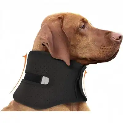 FurryFusion Collar de apoyo para la recuperación del perro - L - Furry Fusion - Comparador de precios
