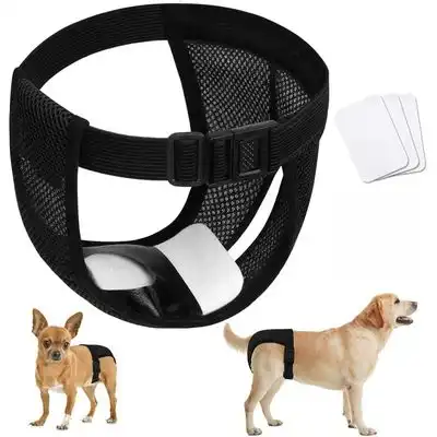 IntiMeg pañales para perros - XL (50-59 cm) - IntiMeg - Comparador de precios