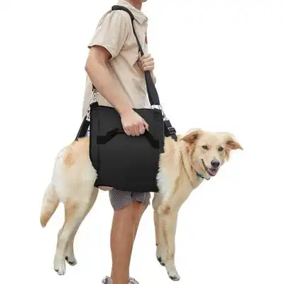 Pawffee Arnés de transporte XL negro con soporte de patas, rehabilitación - 1 pieza - Pawffee - Comparador de precios