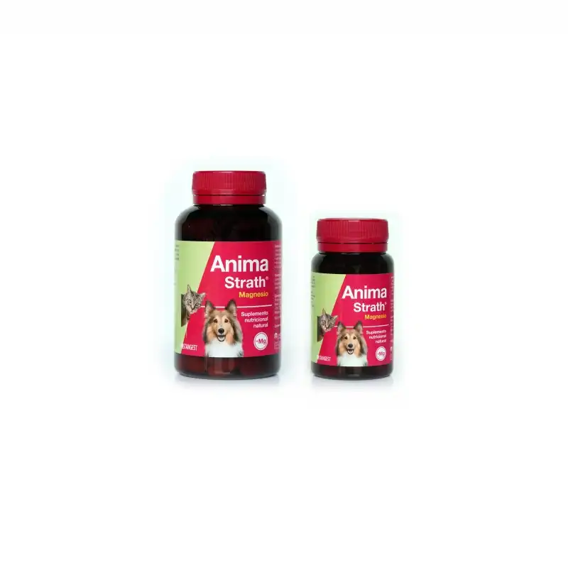 Anima Strath Comprimidos 40 cds - Stangest - Comparador de precios