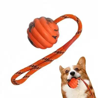 FurryFusion Pelota de goma para perros - Artículo 1 - Furry Fusion - Comparador de precios
