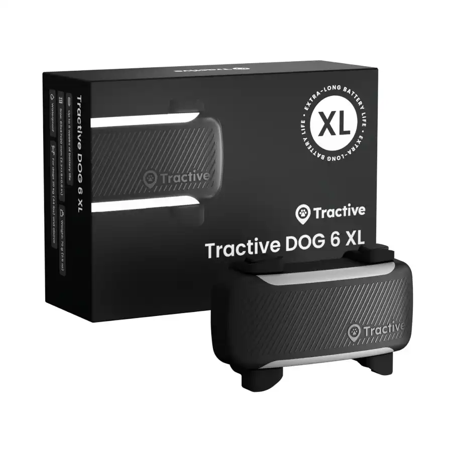 Tractive Dog 6 XL Negro GPS para perros 1 ud. - Tractive - Comparador de precios