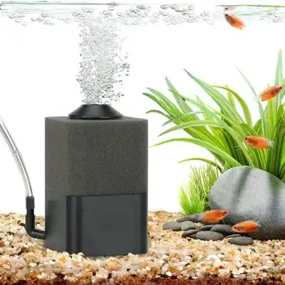 IntiMeg Filtro de esponja silencioso para acuario - Algodón de repuesto - IntiMeg - Comparador de precios