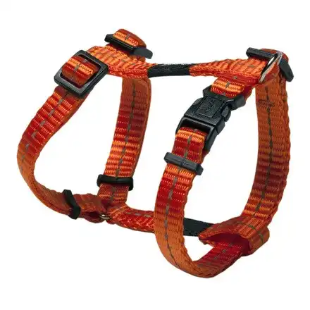 Rogz Arnés Nitelife Small Naranja - Rogz - Comparador de precios