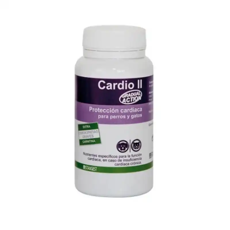 Stanvet Stanvet G.A.Cardio Ii Carnitine 60Comp