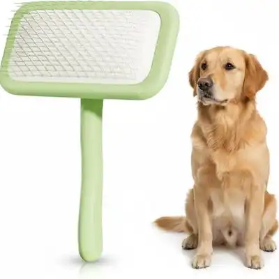 ZooVenture Cepillo alisador para perros - Antideslizante, metálico, rápido - Verde - Zooventure - Comparador de precios