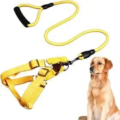 ZooVenture Correa para perros con mango de espuma y ajustable - Amarillo - S 1.5 - Zooventure - Comparador de precios
