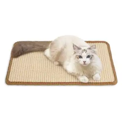 IntiMeg Alfombrilla rascador para gatos de 50 x 30 cm - Una pieza - IntiMeg - Comparador de precios