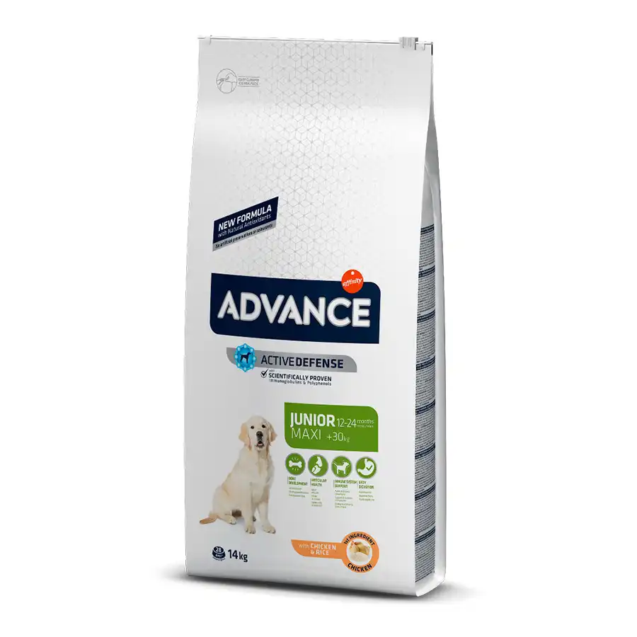 Affinity Advance Maxi Junior Pollo y Arroz pienso para perros