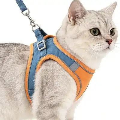 ZooVenture Arnés antiescape para gatos - Transpirable, ajustable, correa - Azul anaranjado - Zooventure - Comparador de precios