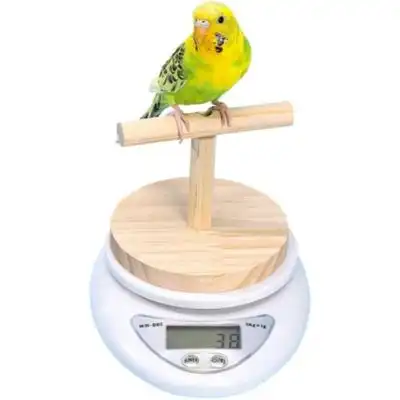 ZooVenture Balanza para loros - Madera, alta precisión, control de la salud - Plástico: 16,2 x 12,5 x 3,2 cm - Zooventure - Comparador de precios