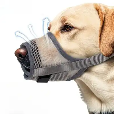 IntiMeg Protector bucal para perros fabricado con material duradero - METRO - IntiMeg - Comparador de precios