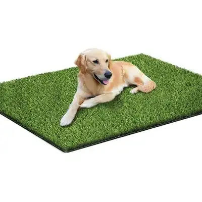 Pawffee Alfombra césped 50x70cm para perros, lavable, higiene del cachorro - 1 pieza - Pawffee - Comparador de precios