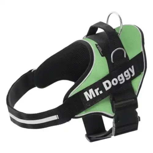 Arnés personalizado Super Doggy para perros color Verde - Super Doggy - Comparador de precios
