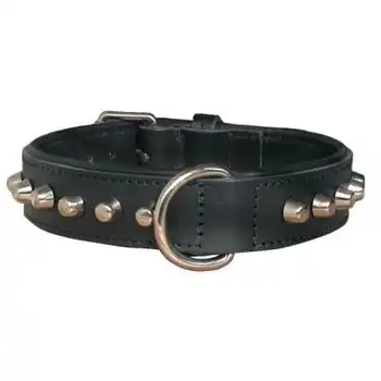 Collar Cuero Bulldog 45 Cm